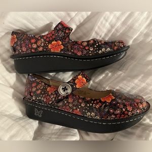 Algeria Paloma Midnight (New in box)